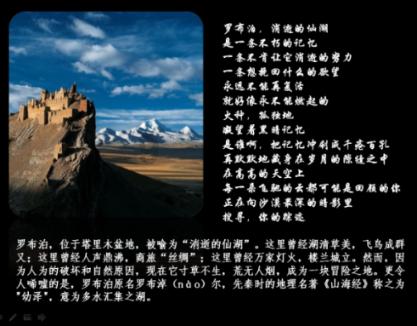 大叔钓鱼